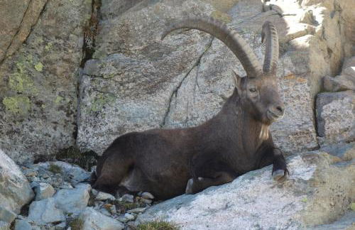 Appartement entre lac & montagne - Photo 19