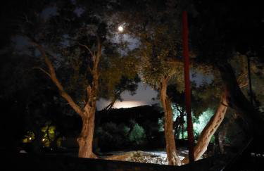 Casa Tereza - Foto 13