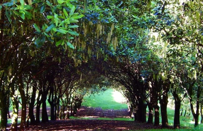 Riverbend Byron Hinterland Retreat - Foto 13