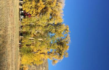 Aubin Sky Lodging at the YL Ranch - Foto 69