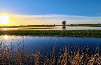 Ferienwohnung Sonja - Foto 26