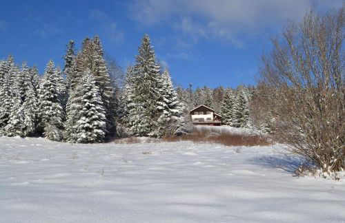 LE CHALET VOSGIEN bain nordique Kota Grill - Foto 2