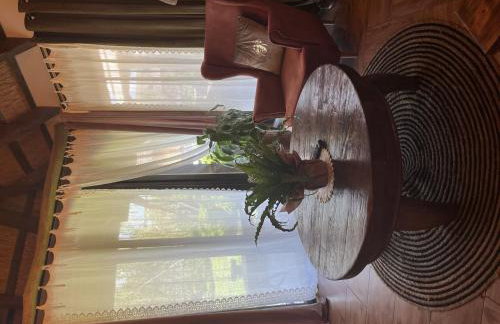 Agroturystyka Mirabelkowe Zacisze - Foto 62