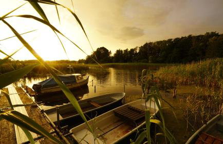 Ferienwohnungen am Krakower See - Foto 38