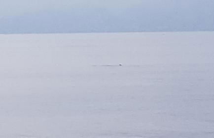 Attico Sottovento - Foto 40