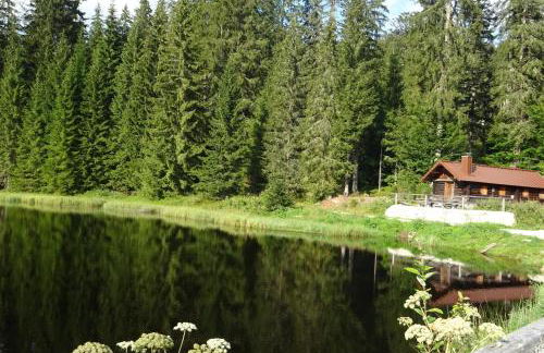 Apartment Almberg - Foto 69