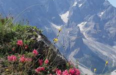 Appartamento Sot le Pale - Photo 41