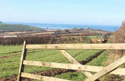 Unique Thatched Retreat near Salcombe and Beaches - Foto 15