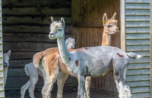 Nutley Farm - Foto 25