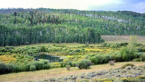 Wapiti Retreat at 22 West Cabins and Recreation - Foto 4