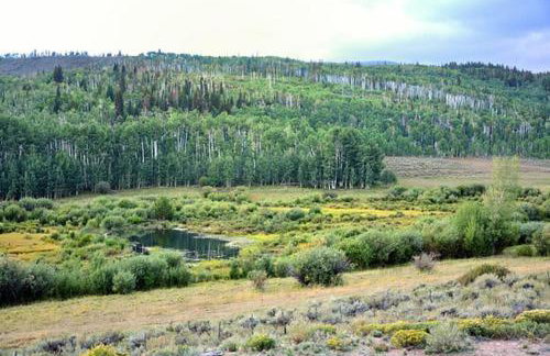 Whistle Pig Retreat at 22 West Cabins and Recreation - Foto 2