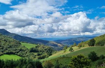 Casa de Forno - Foto 18