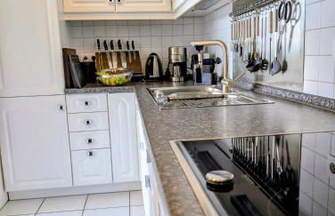 Bodensee - Palmen - Foto 19