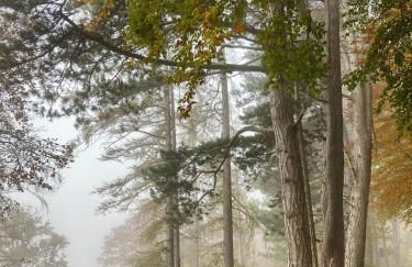 Ferienwohnung Stefanie - Foto 34