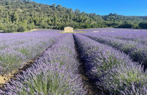 Cœur de provence - Foto 6