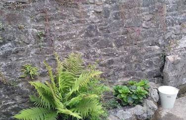 2 Bed pet-free cottage, private garden & fell view - Foto 5