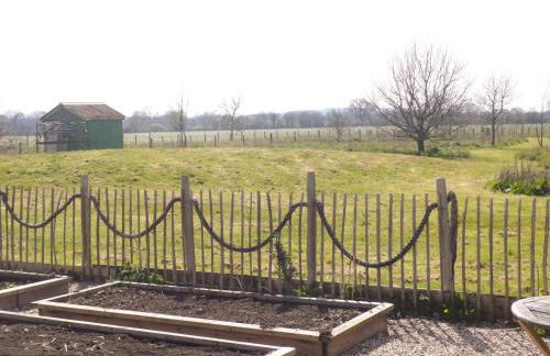 Tiny Willow - Foto 21