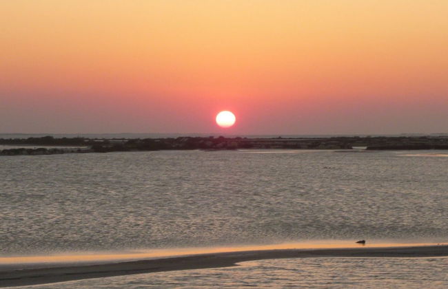 Room-antigua Lodge, Away From the Crowds - Foto 22