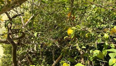 MARILISE - La maison blue private garden & terrace - Foto 5