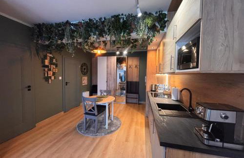 Oliwkowy - stylowy Apartament w naturalnym klimacie - Photo 73