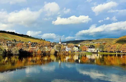 Elegant Apartment with Direct River View, Balcony and Parking in Bernkastel-Kues - Photo 48