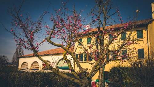 Le Vigne Morosina - Foto 2, Garden, Garden view