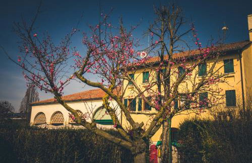 Le Vigne Morosina - Foto 2