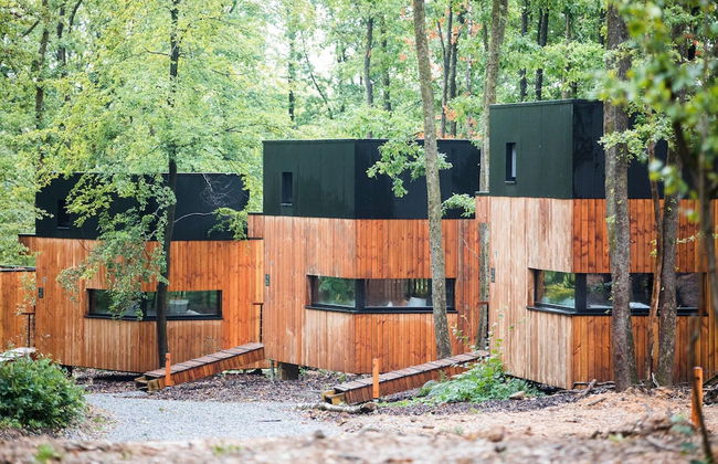 Eco Holiday Home in Viroinval in Nature - Foto 14