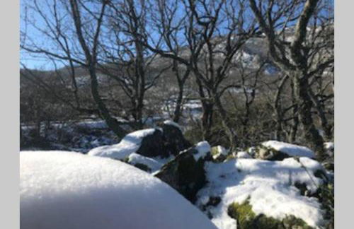 Vuelos de Montaña l - Foto 35