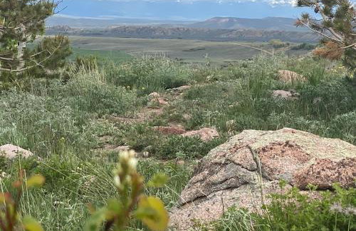 Red-tail Roundhouse at 22 West Cabins and Recreation - Foto 21