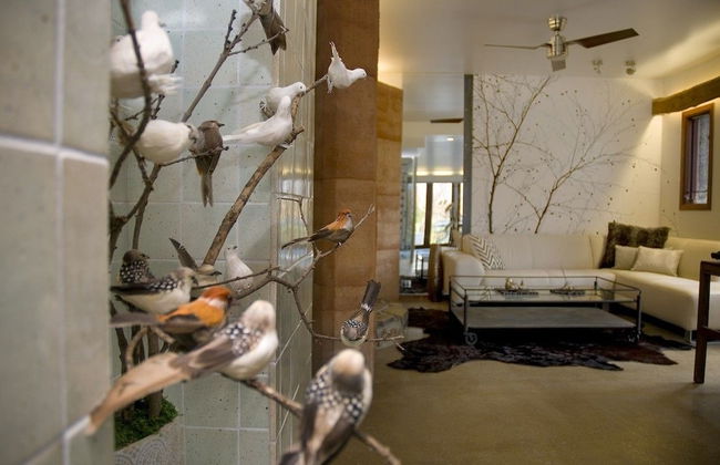 Eco Villa Mt Beauty Near Falls Creek & Bright - Photo 9