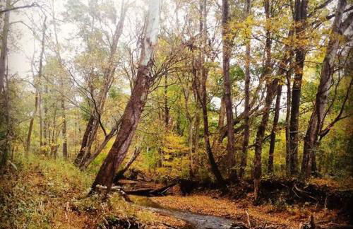 Private Retreat! Pool, Hot Tub, Awesome Views, Washer & Dryer, Wi-Fi, Near Rome, GA - Foto 31