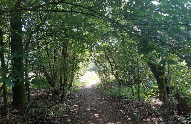 Cozy Holiday Home in Erslev near Ocean - Foto 7