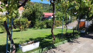 APP Leo - Foto 3, Garden