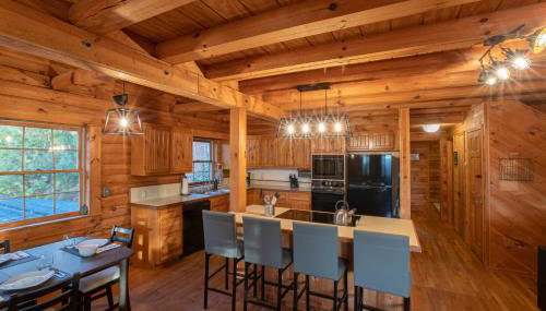 Treetops Cabin easy to Asheville with fast wifi and great view - Foto 5