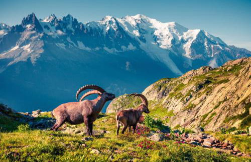 Résidence Grand Roc - Campanules 506 - Happy Rentals - Foto 15