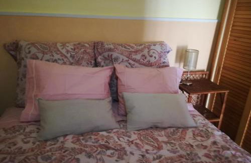 A Casa da avó Custodinha - Photo 24