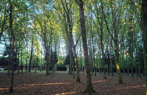 Oasis Ponte San Lázaro - Photo 2