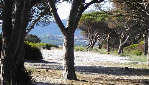 La Cuppulata - Foto 4