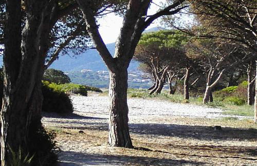 La Cuppulata - Foto 4