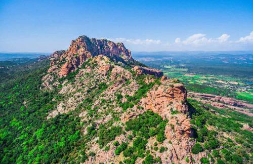 La Salamandre - Foto 25