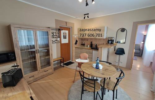 przy Zamku Ryn - Foto 1