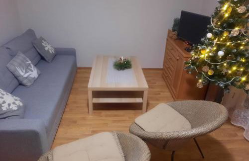 Domki Pod Jesionami - Foto 6