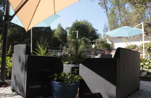 Bosque dos Amieiros - Foto 61