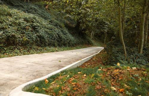 Sweet Lil Casita Puget Sound Hideaway - Photo 10