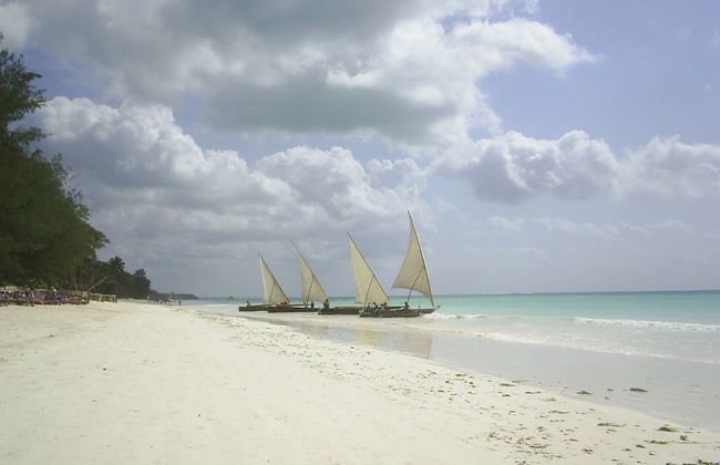 Kamili View Apartment in Zanzibar - Photo 54