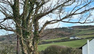 Gors Eilian - Photo 5