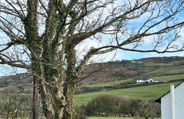 Gors Eilian - Photo 5