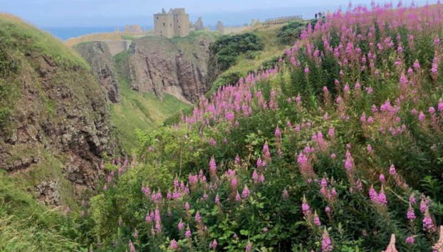 Vista del Castello di Dunnottar
