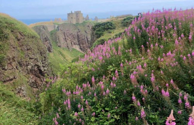 Escursione ai castelli di Glamis e Dunnottar - Foto 4